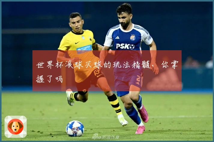 世界杯滚球买球的玩法精髓，你掌握了吗