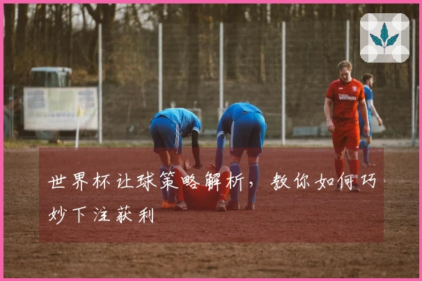 世界杯让球策略解析，教你如何巧妙下注获利