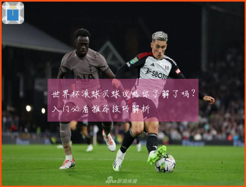 世界杯滚球买球攻略你了解了吗？入门必看推荐技巧解析